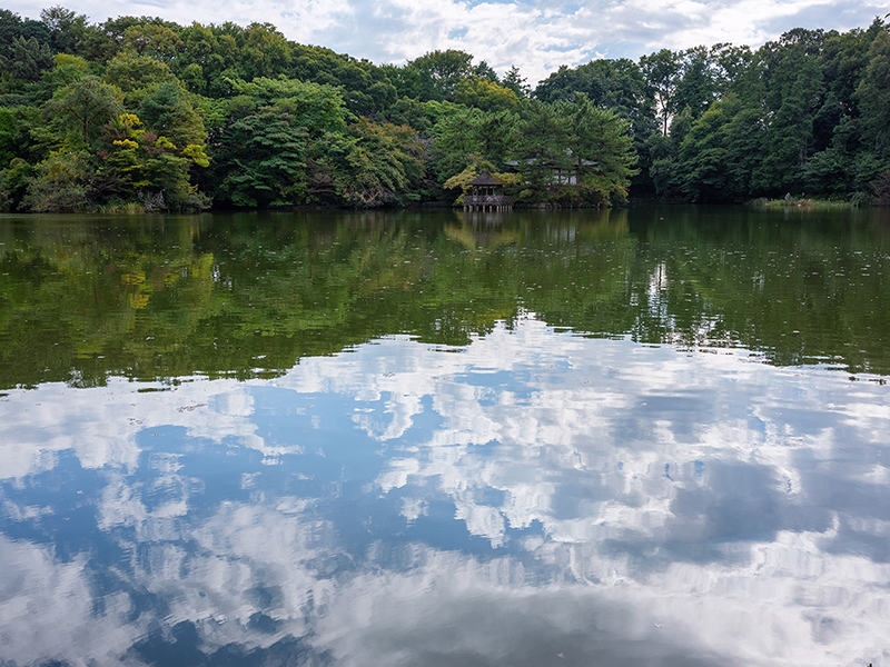 FUJIFILMのGFX50Rで撮影した三宝寺池の写真