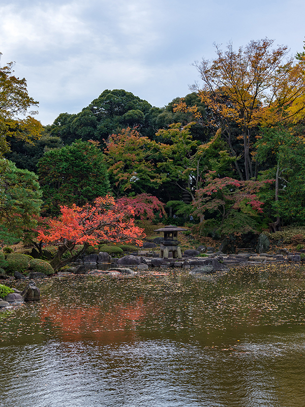 FUJIFILMのカメラで撮影した写真