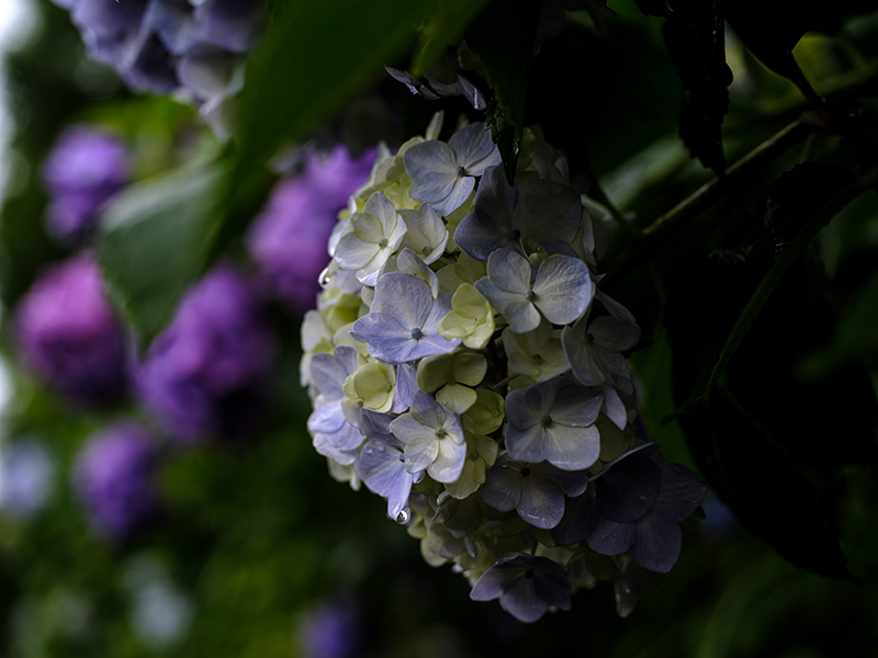 X100Fで撮ったストリートスナップ