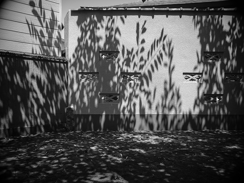 エルマー35mm、Elmar35mmf3.5の写真