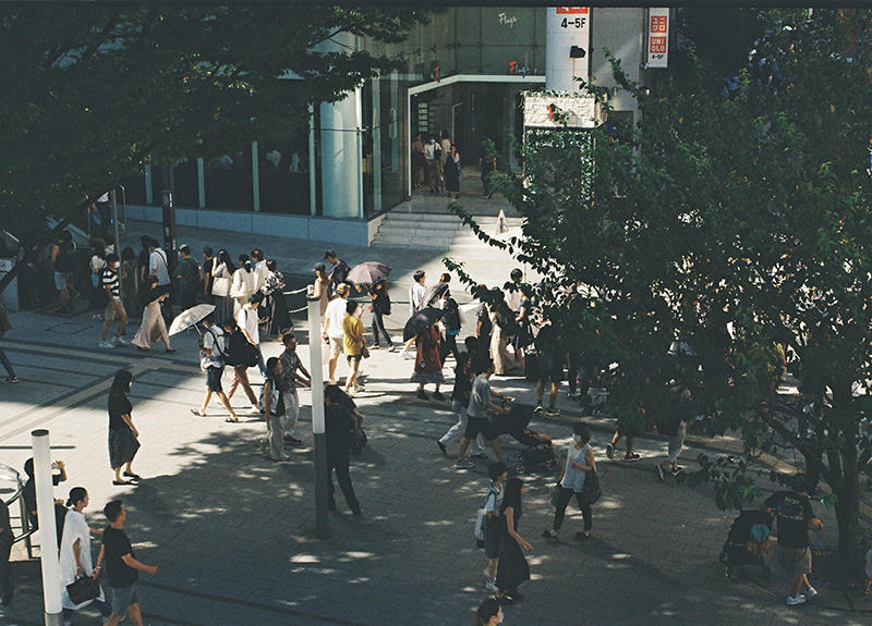ライカのフィルムカメラで撮った写真