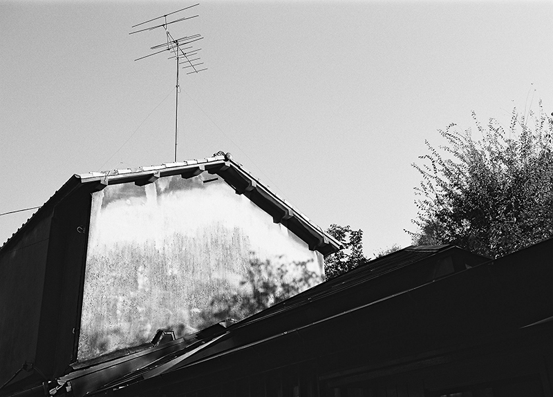 ライカのフィルムカメラで撮った写真