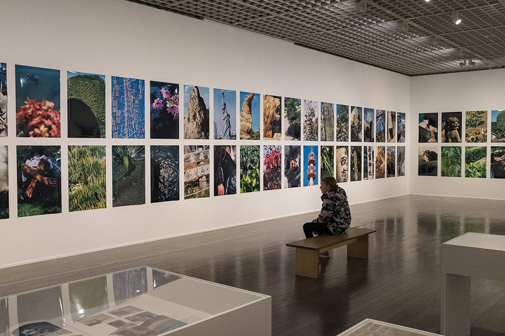ラx100fで撮った吉祥寺の写真集専門店の写真