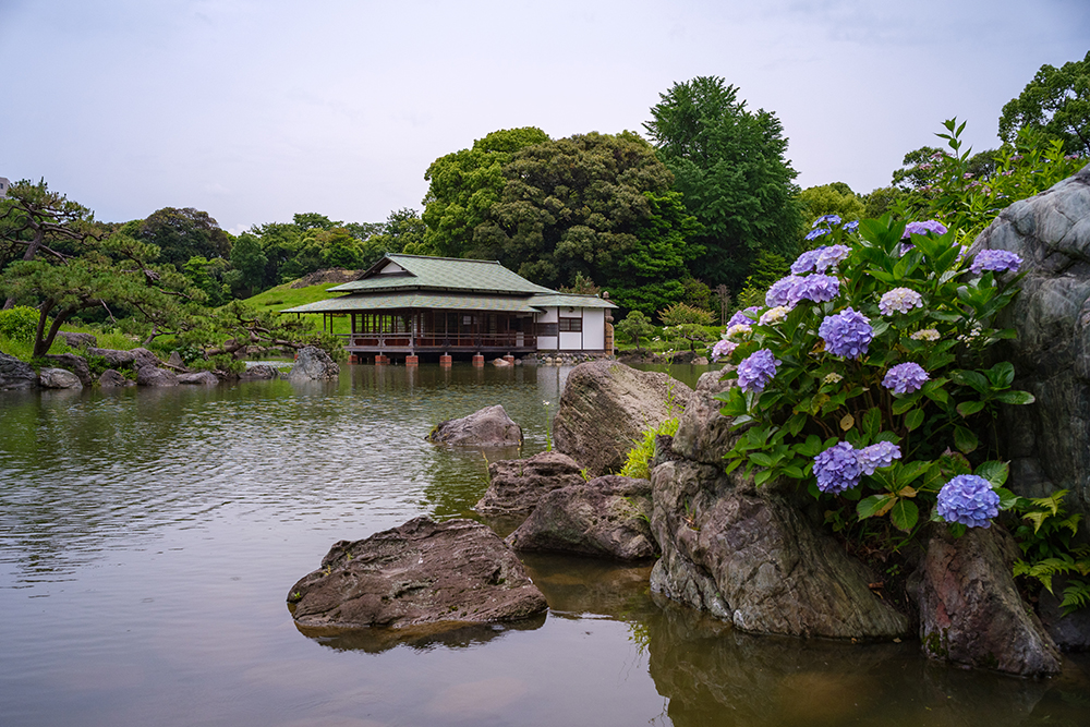 GFX50Rとズミルックス35mmで撮った清澄庭園の写真