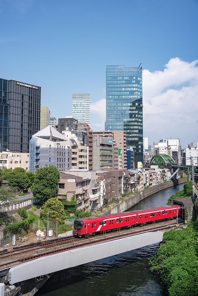GFX50Rとマクロエルマリート60mmで撮った紫陽花の写真
