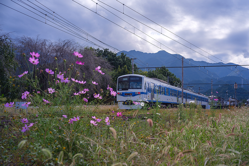 秩父鉄道の写真