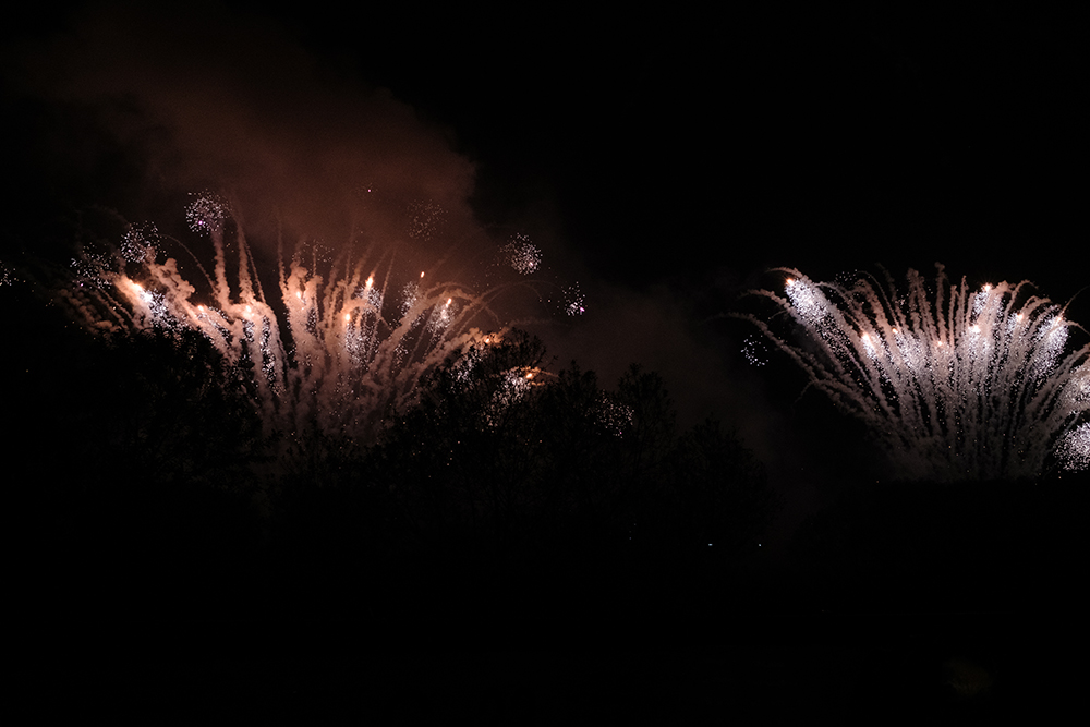 流山花火大会の写真